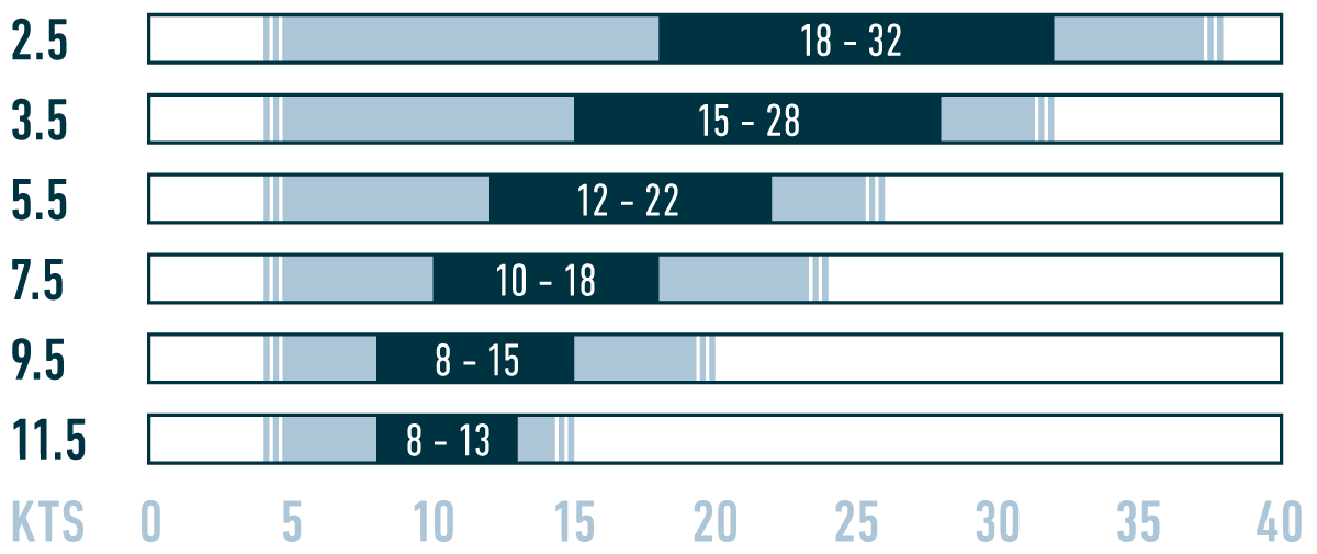 Flysurfer Hybrid Kite 5.5m